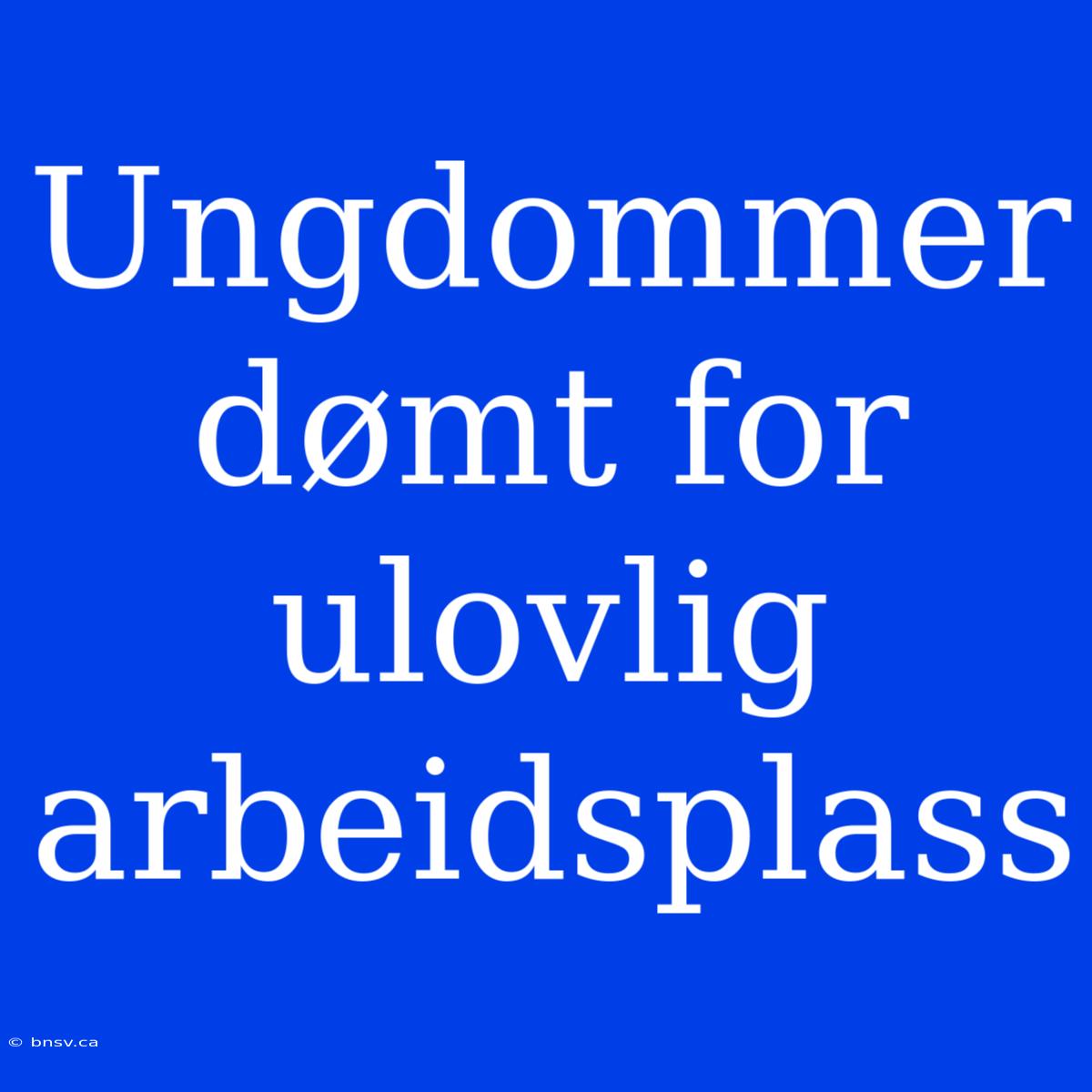 Ungdommer Dømt For Ulovlig Arbeidsplass