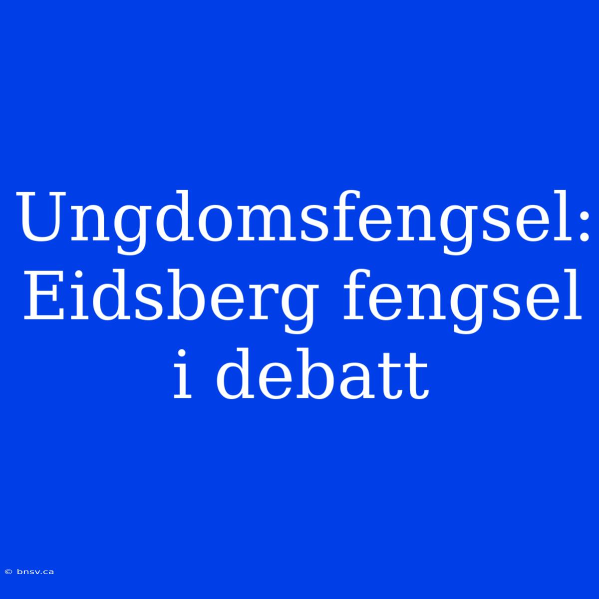 Ungdomsfengsel: Eidsberg Fengsel I Debatt