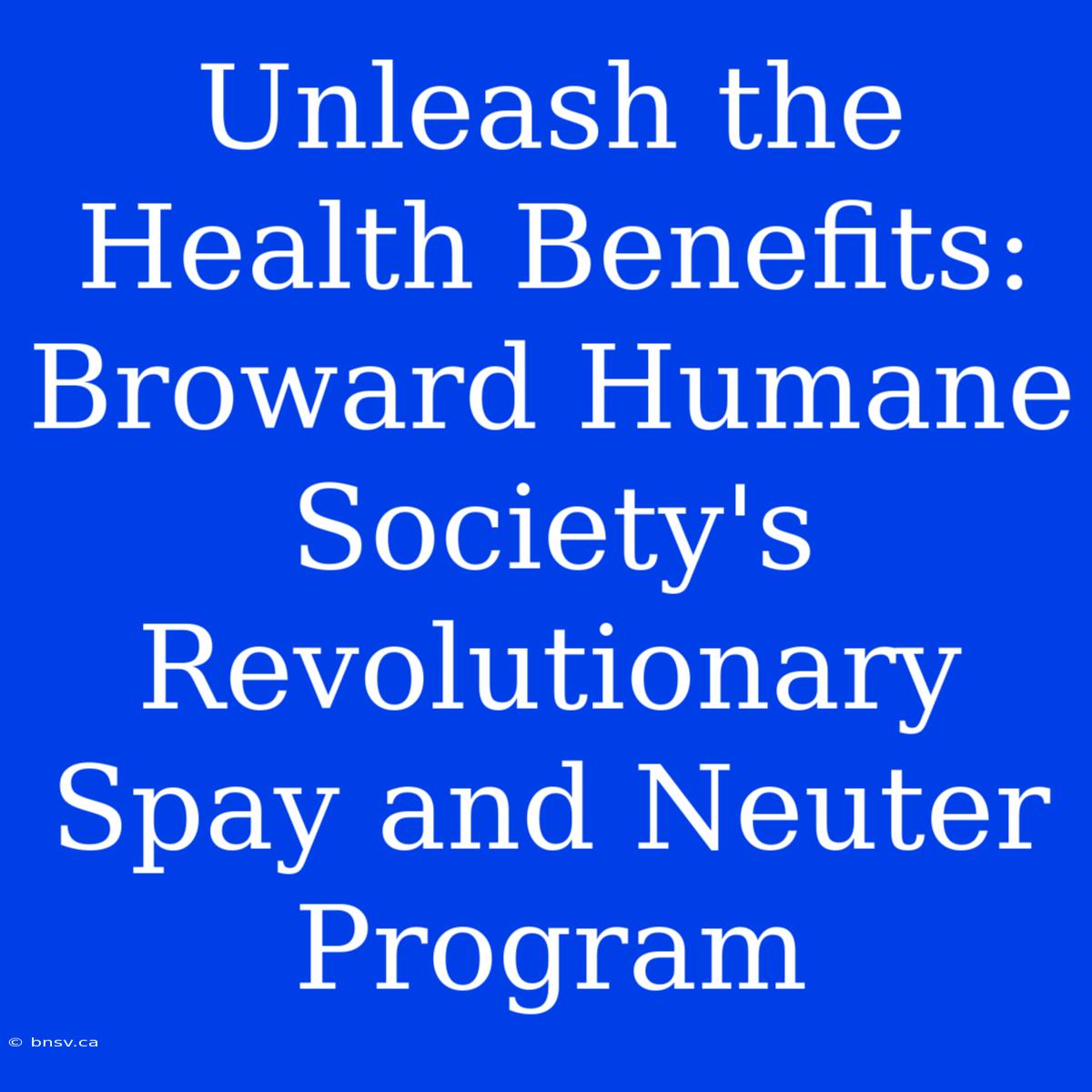 Unleash The Health Benefits: Broward Humane Society's Revolutionary Spay And Neuter Program