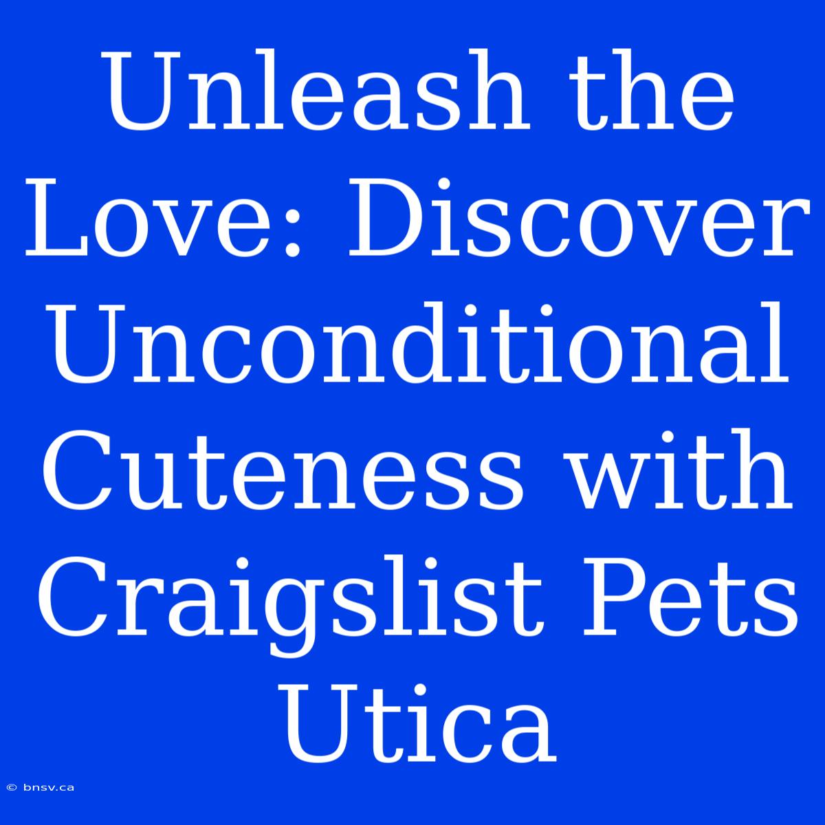 Unleash The Love: Discover Unconditional Cuteness With Craigslist Pets Utica