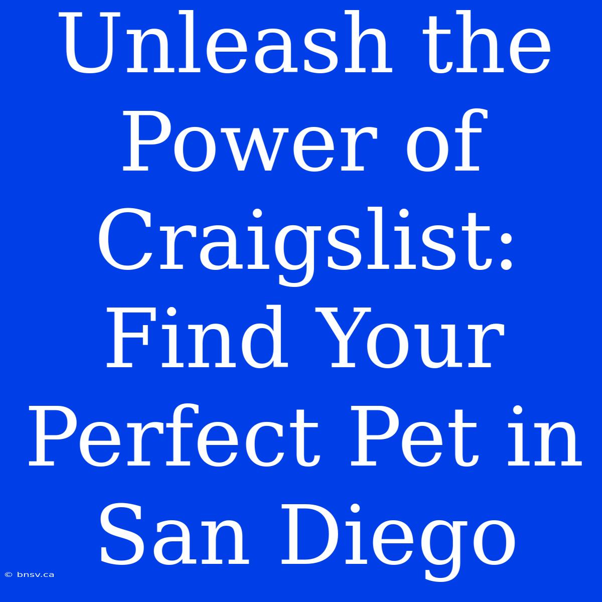 Unleash The Power Of Craigslist: Find Your Perfect Pet In San Diego