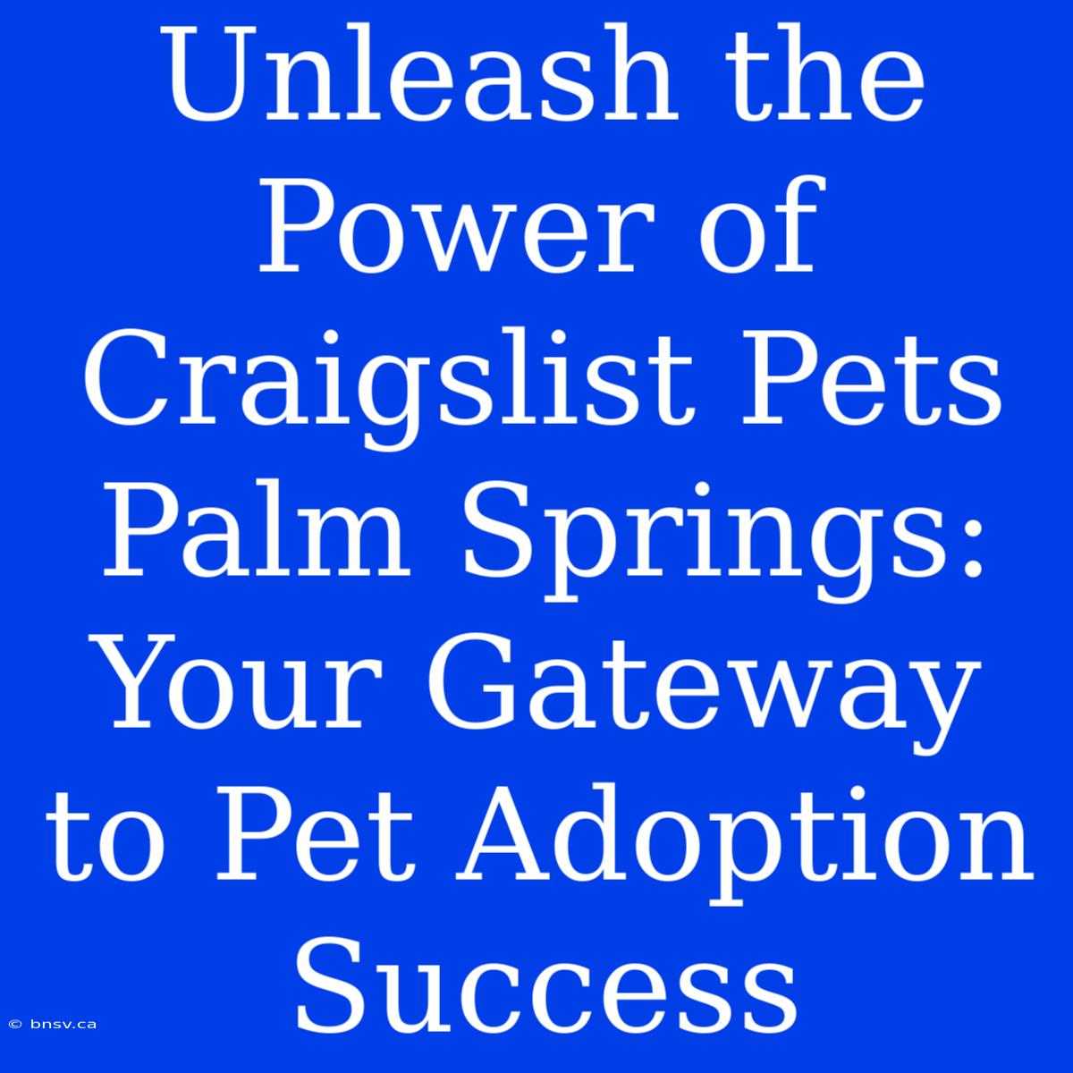 Unleash The Power Of Craigslist Pets Palm Springs: Your Gateway To Pet Adoption Success