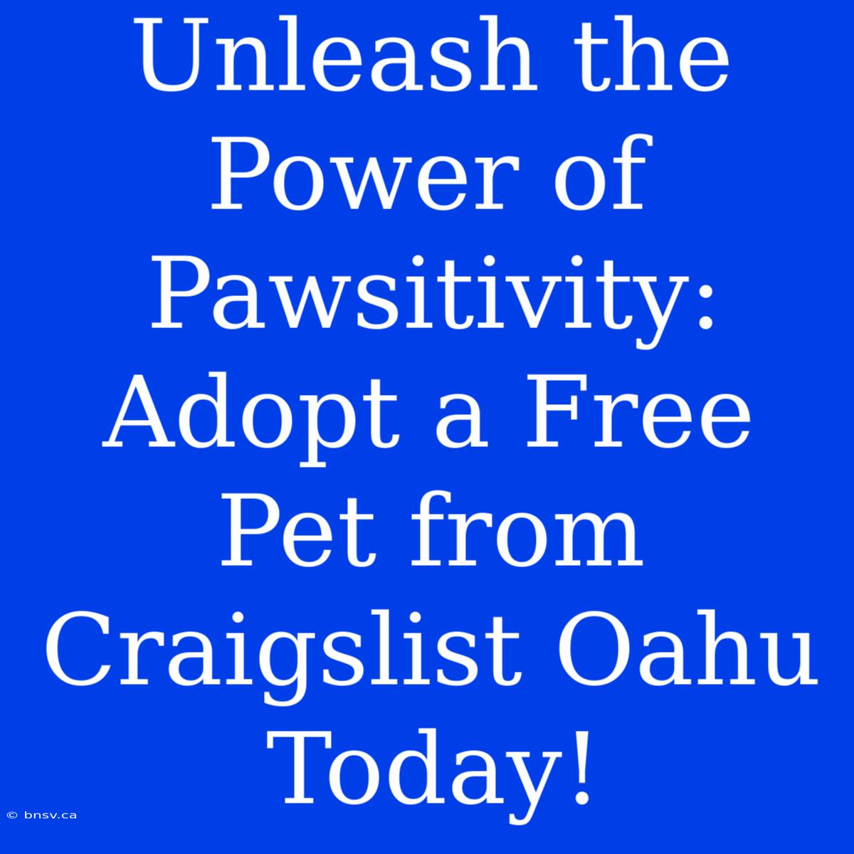 Unleash The Power Of Pawsitivity: Adopt A Free Pet From Craigslist Oahu Today!