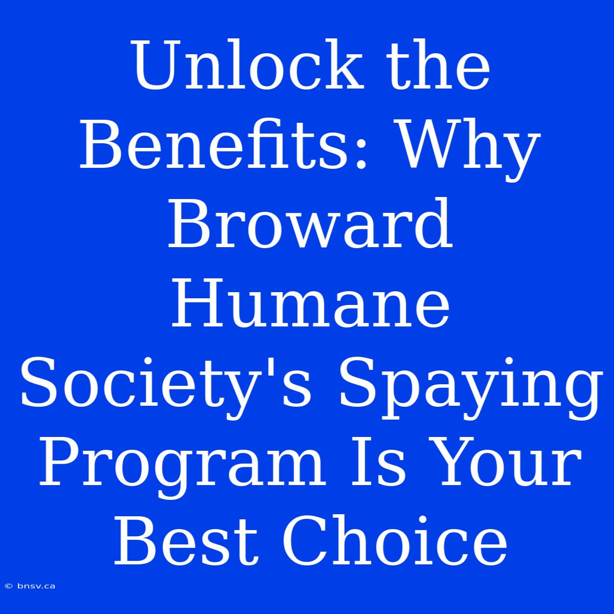 Unlock The Benefits: Why Broward Humane Society's Spaying Program Is Your Best Choice