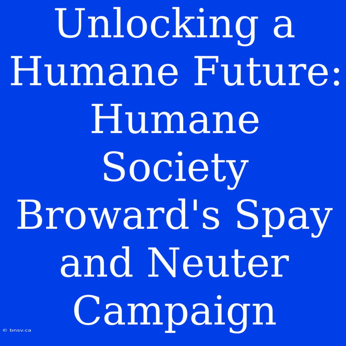 Unlocking A Humane Future: Humane Society Broward's Spay And Neuter Campaign