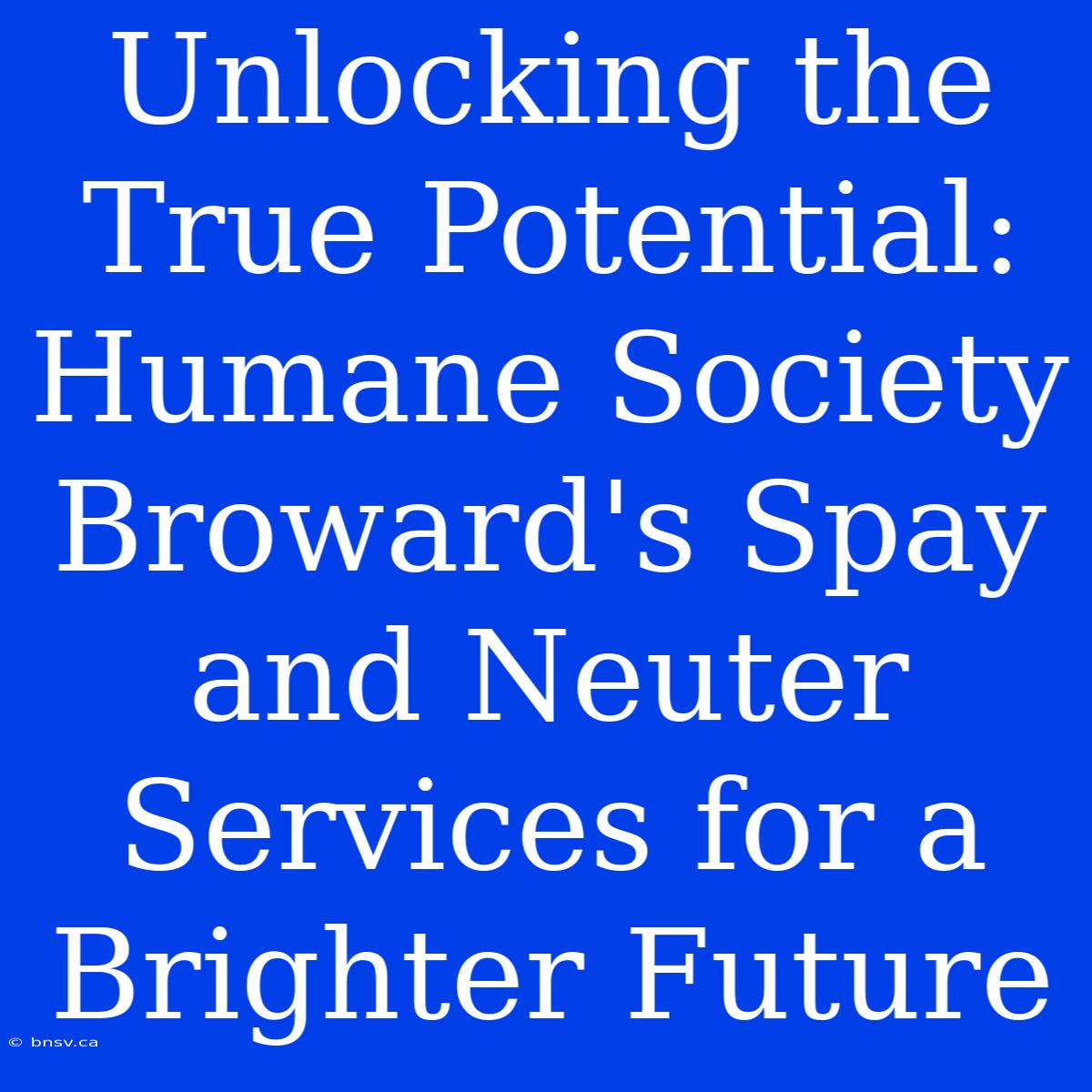 Unlocking The True Potential: Humane Society Broward's Spay And Neuter Services For A Brighter Future