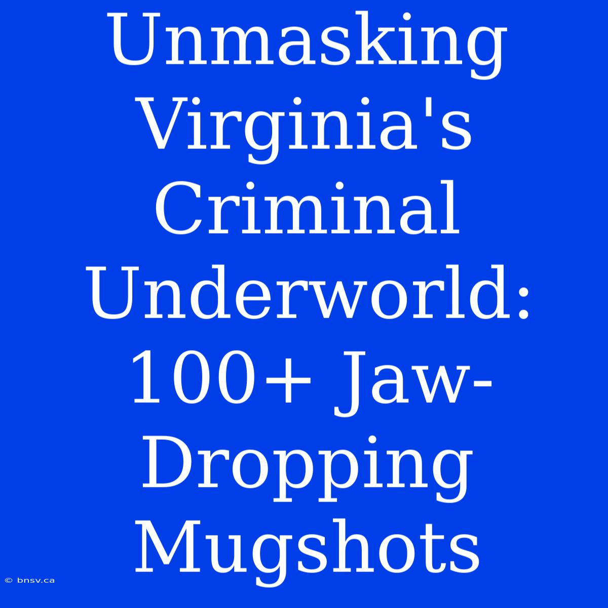 Unmasking Virginia's Criminal Underworld: 100+ Jaw-Dropping Mugshots