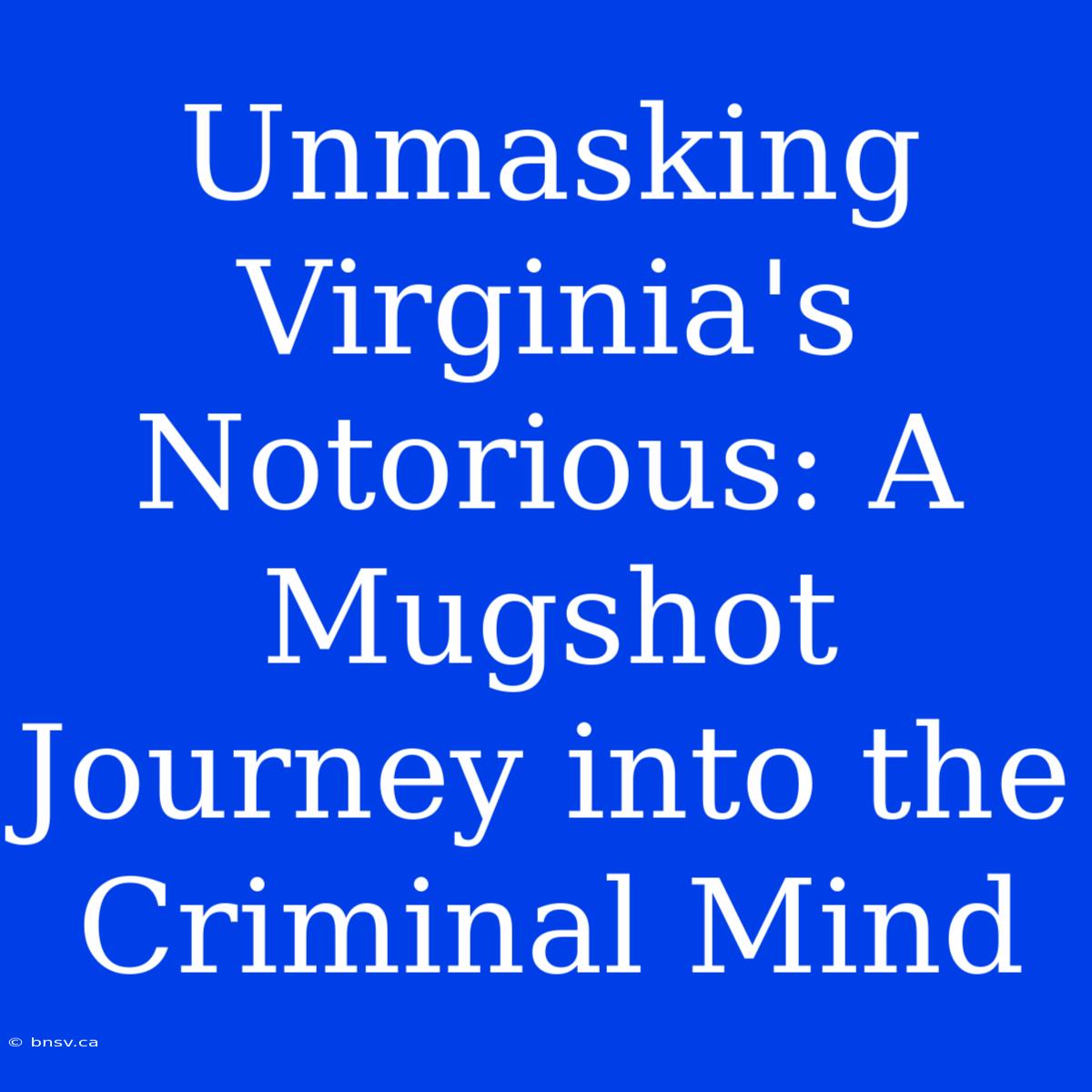 Unmasking Virginia's Notorious: A Mugshot Journey Into The Criminal Mind