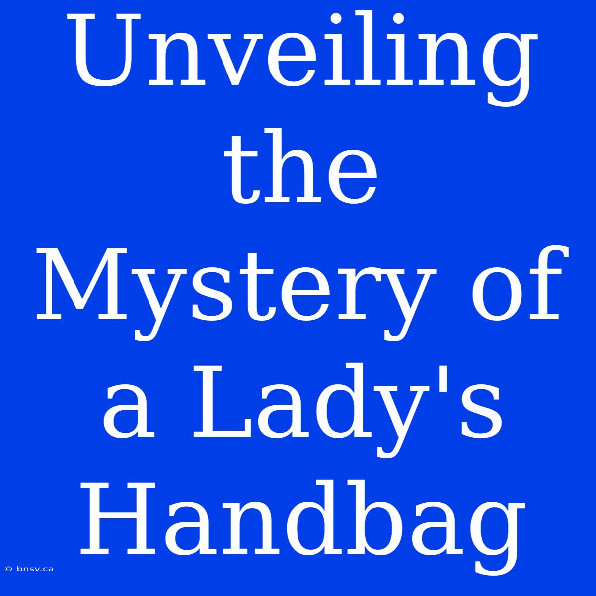 Unveiling The Mystery Of A Lady's Handbag