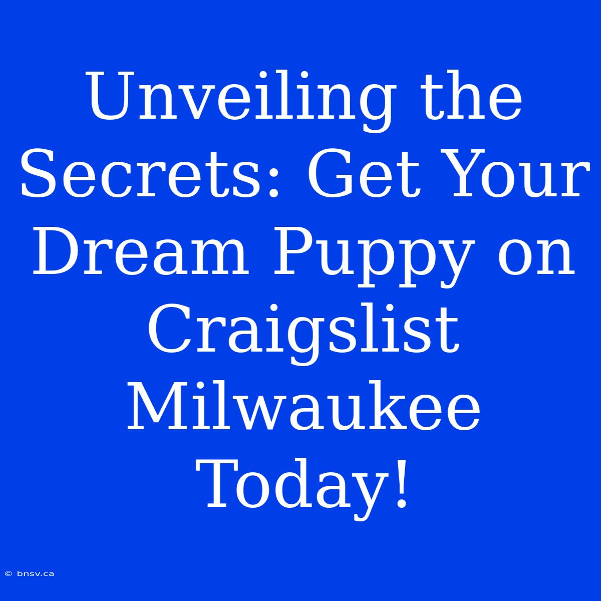 Unveiling The Secrets: Get Your Dream Puppy On Craigslist Milwaukee Today!