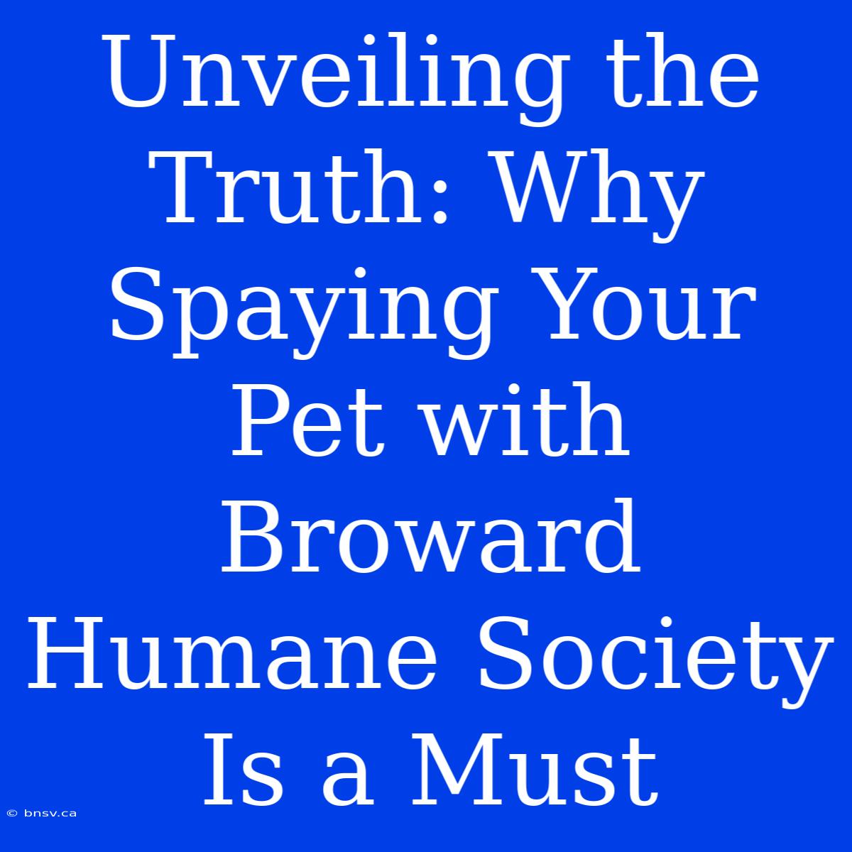 Unveiling The Truth: Why Spaying Your Pet With Broward Humane Society Is A Must