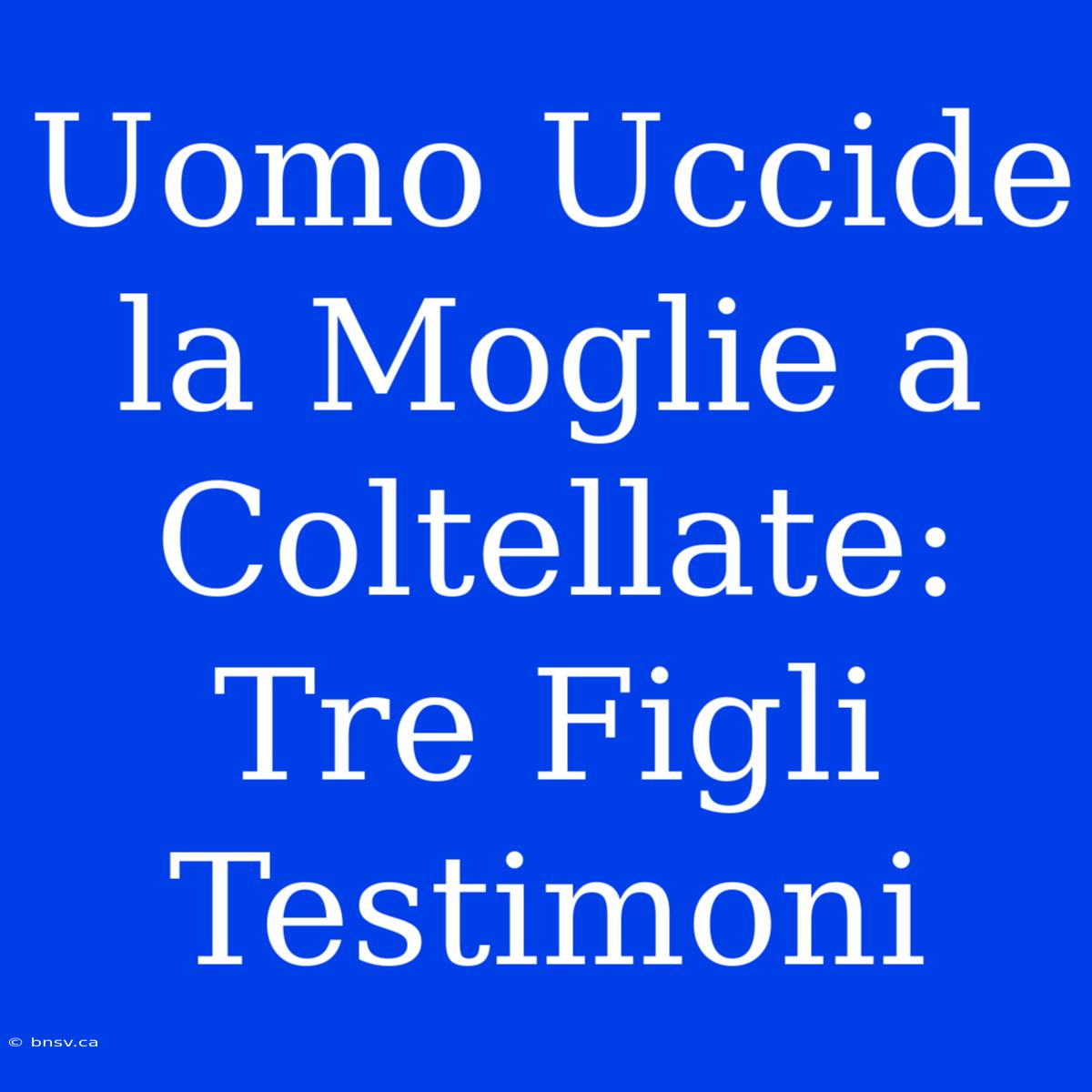 Uomo Uccide La Moglie A Coltellate: Tre Figli Testimoni