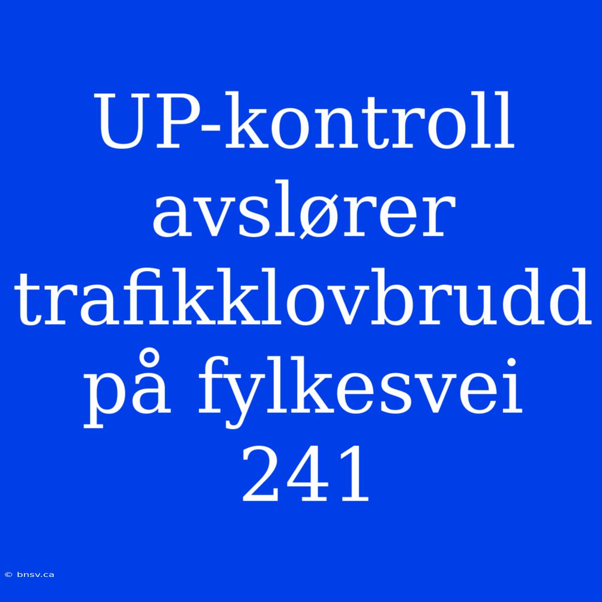 UP-kontroll Avslører Trafikklovbrudd På Fylkesvei 241