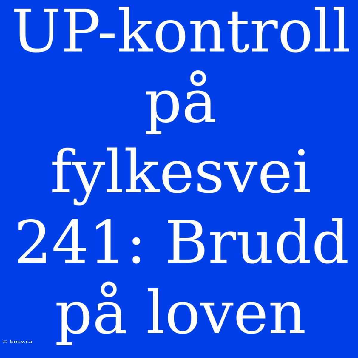 UP-kontroll På Fylkesvei 241: Brudd På Loven