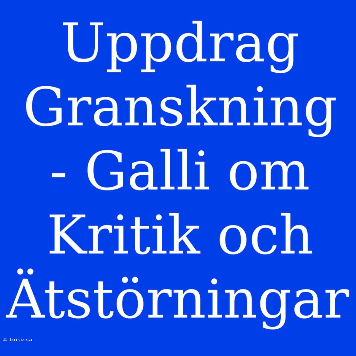 Uppdrag Granskning - Galli Om Kritik Och Ätstörningar