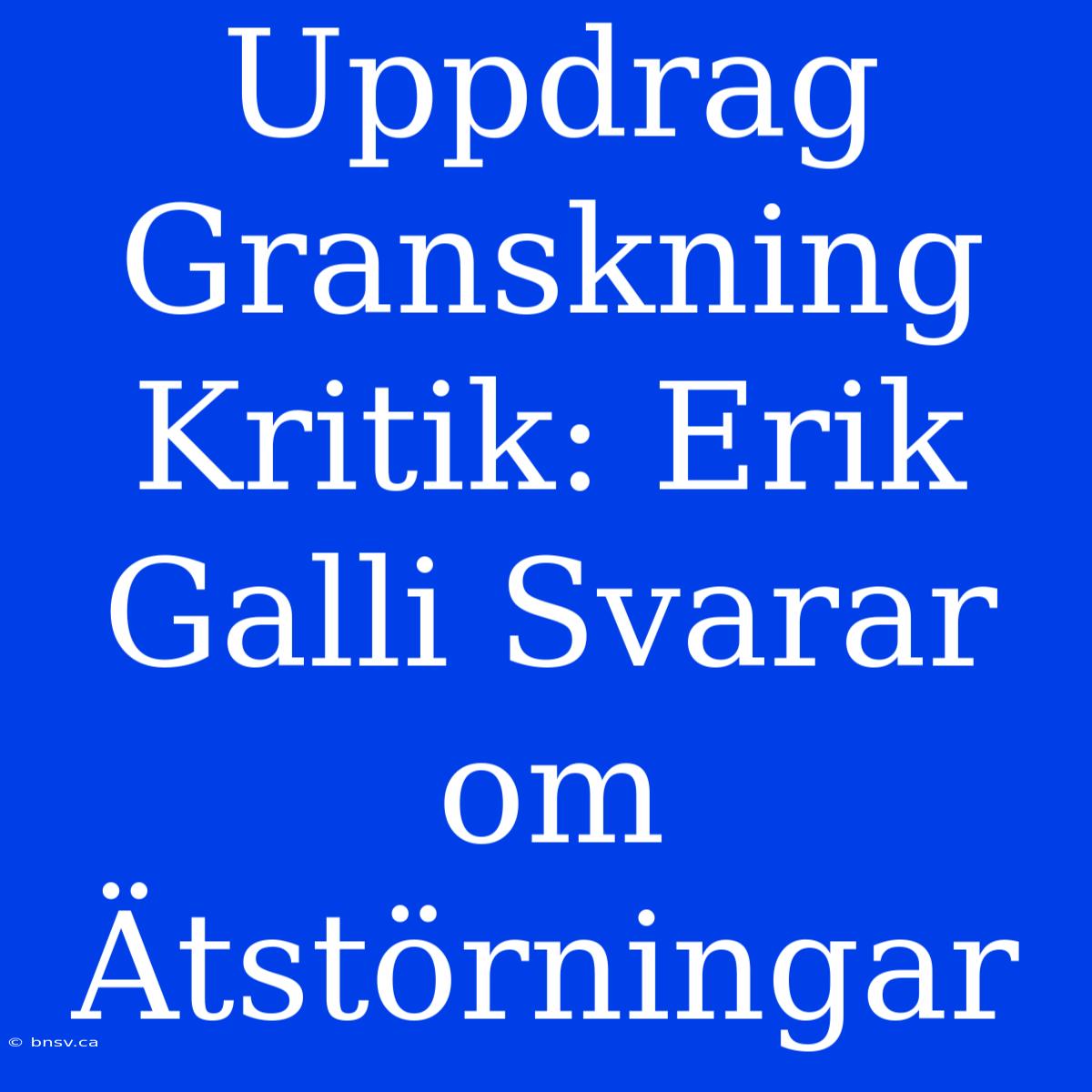 Uppdrag Granskning Kritik: Erik Galli Svarar Om Ätstörningar