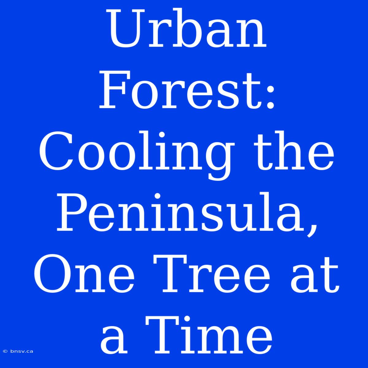 Urban Forest: Cooling The Peninsula, One Tree At A Time