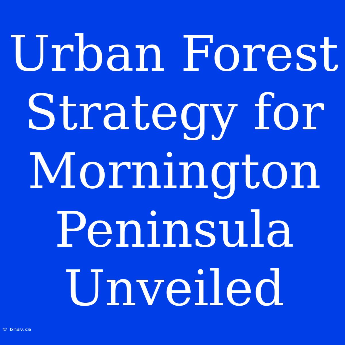 Urban Forest Strategy For Mornington Peninsula Unveiled