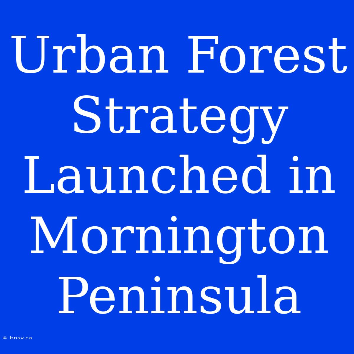 Urban Forest Strategy Launched In Mornington Peninsula