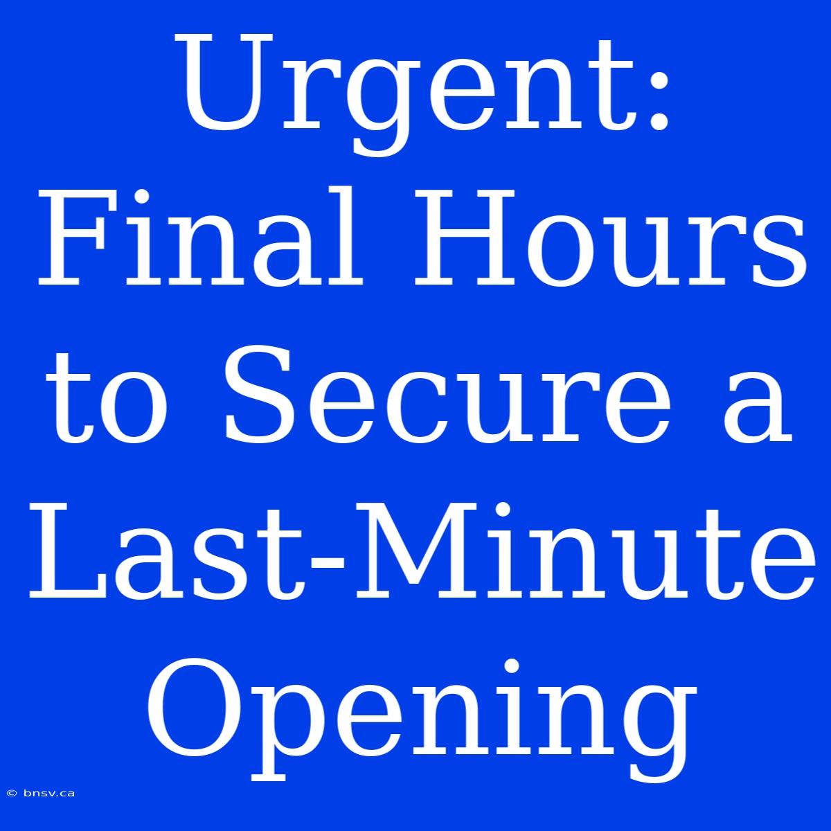 Urgent: Final Hours To Secure A Last-Minute Opening