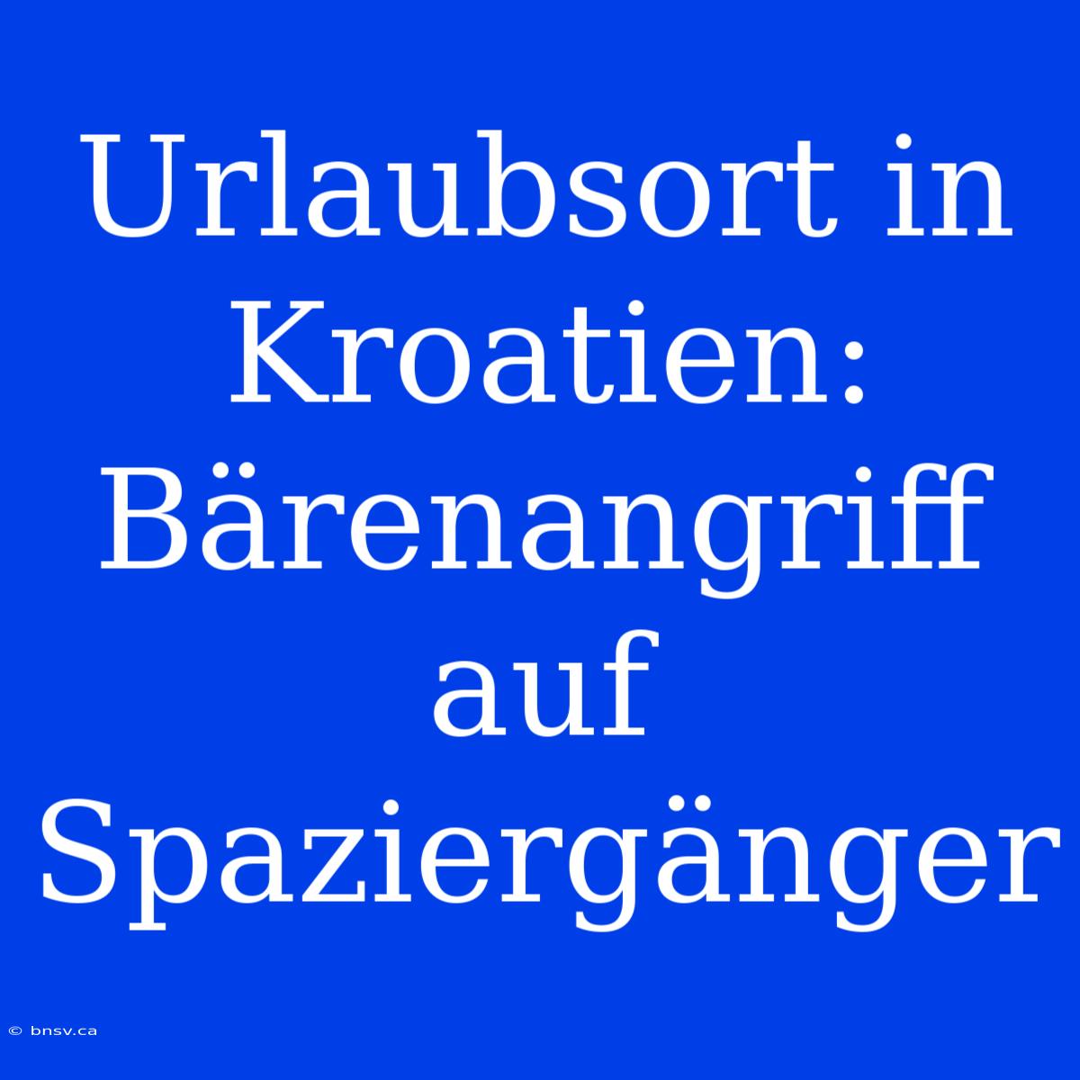 Urlaubsort In Kroatien: Bärenangriff Auf Spaziergänger