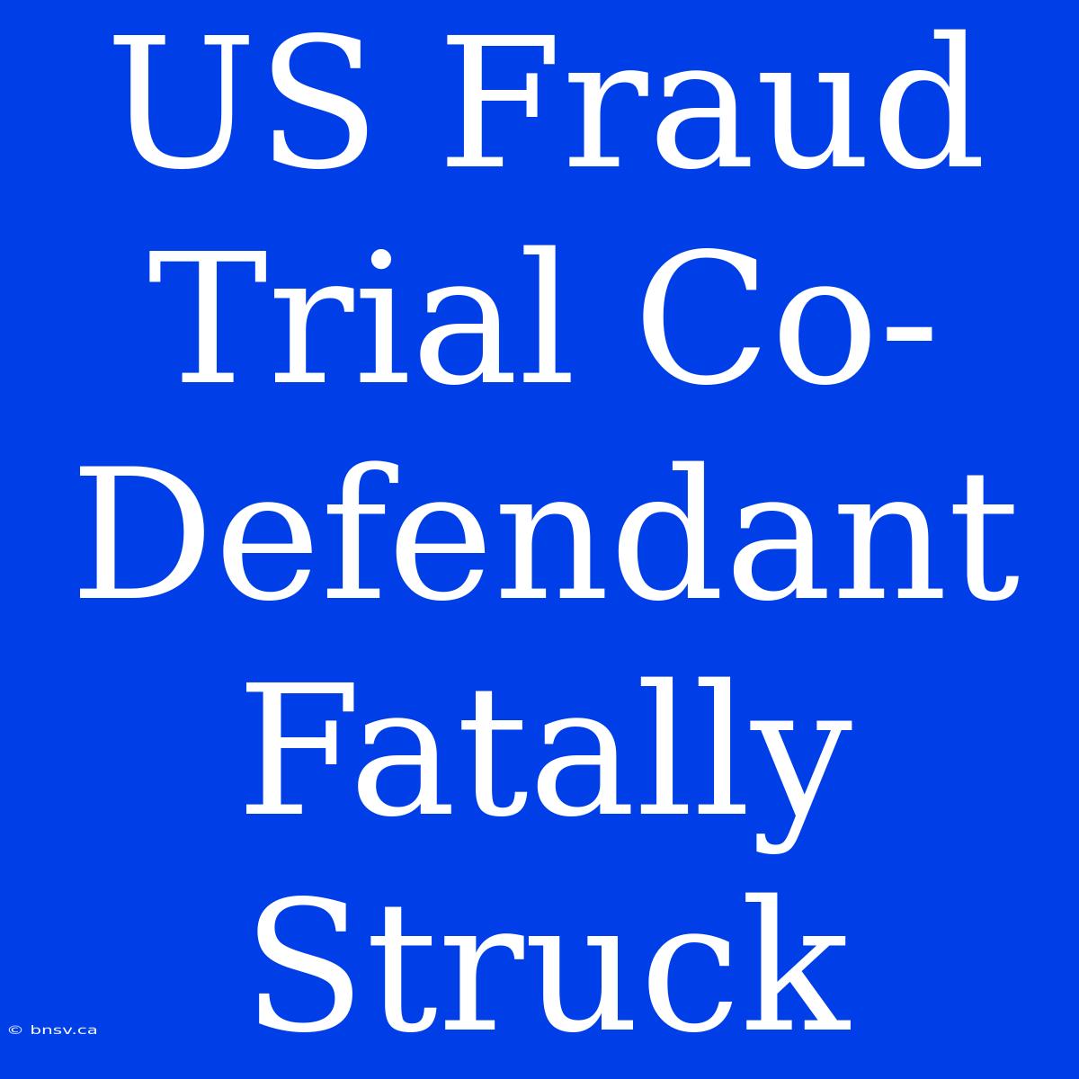 US Fraud Trial Co-Defendant Fatally Struck