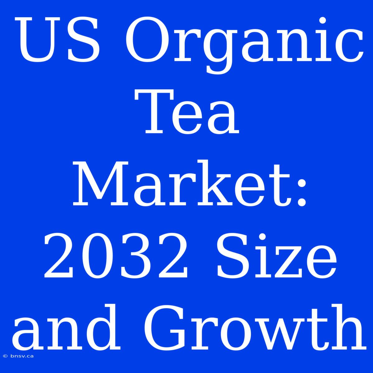 US Organic Tea Market: 2032 Size And Growth