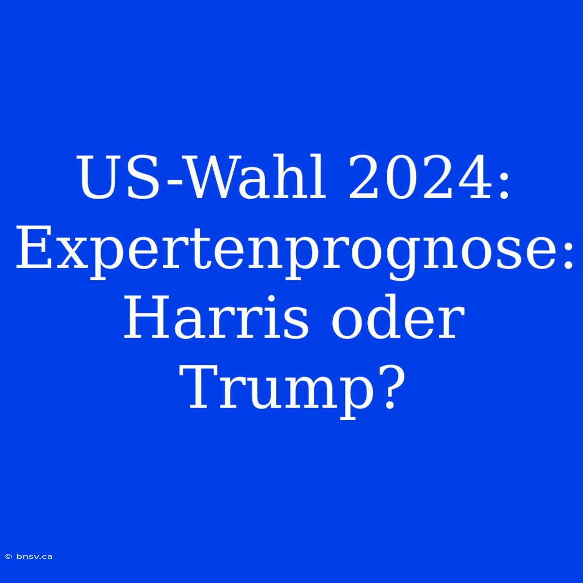 US-Wahl 2024: Expertenprognose: Harris Oder Trump?