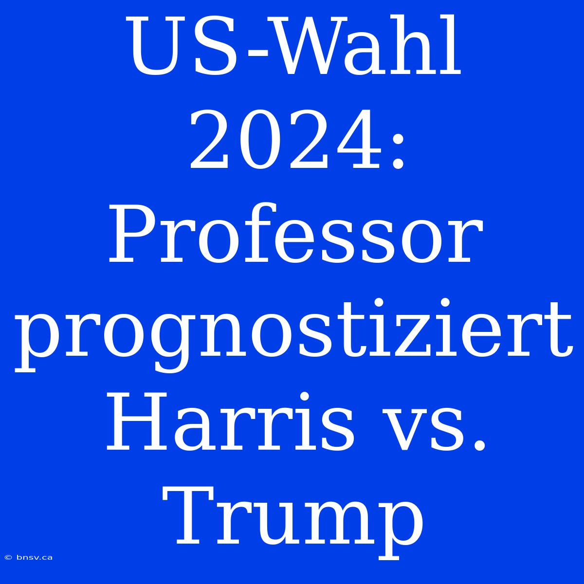 US-Wahl 2024: Professor Prognostiziert Harris Vs. Trump