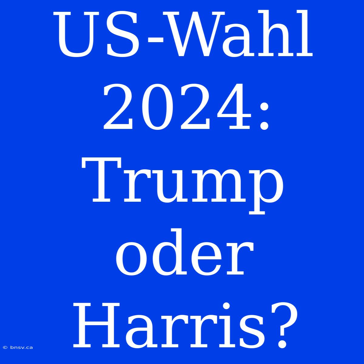 US-Wahl 2024: Trump Oder Harris?