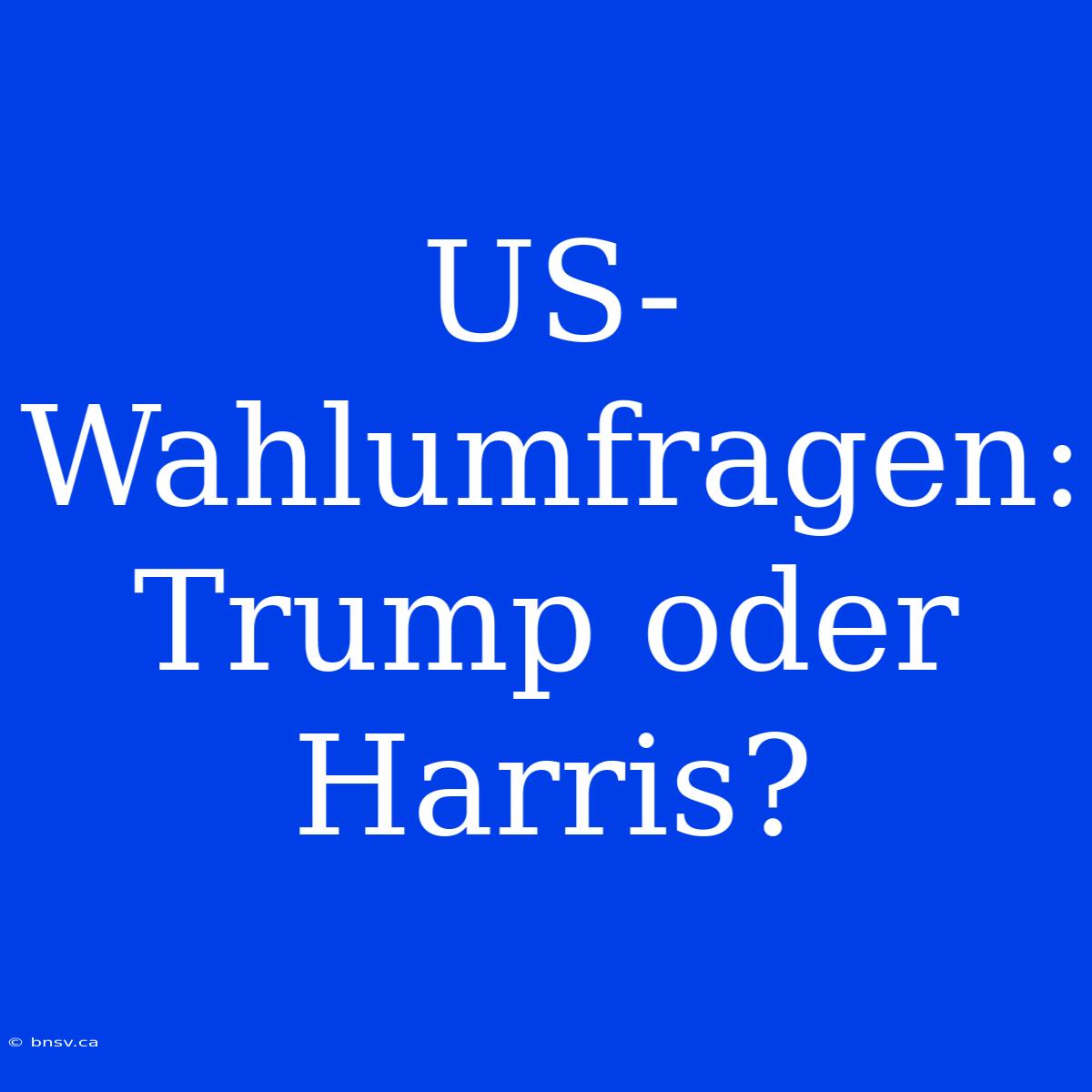 US-Wahlumfragen: Trump Oder Harris?