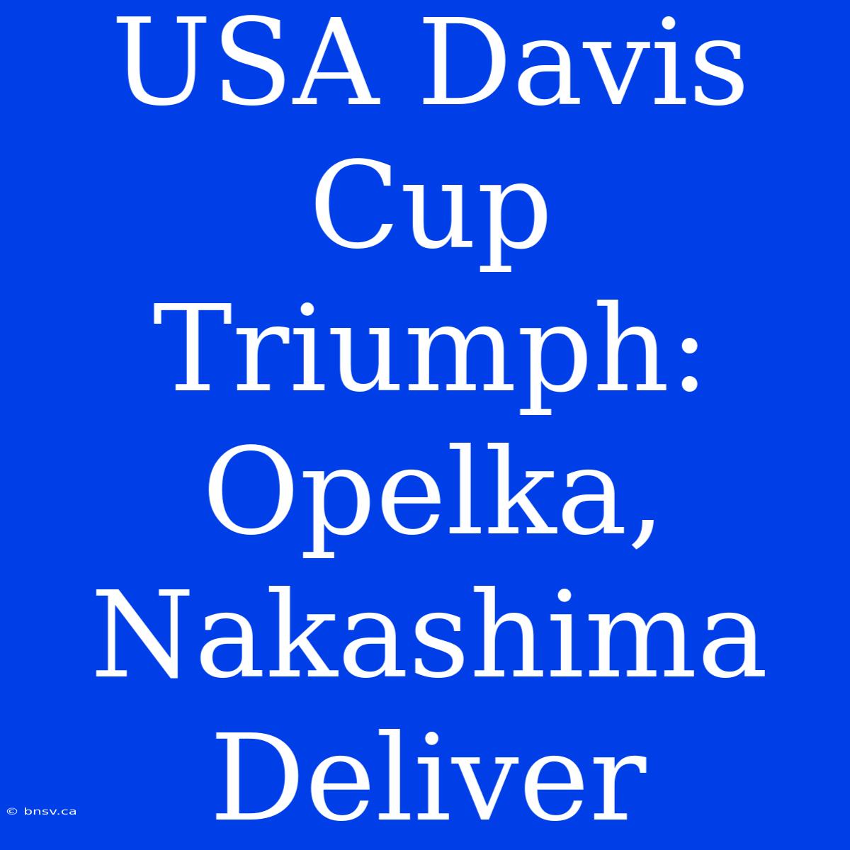 USA Davis Cup Triumph: Opelka, Nakashima Deliver