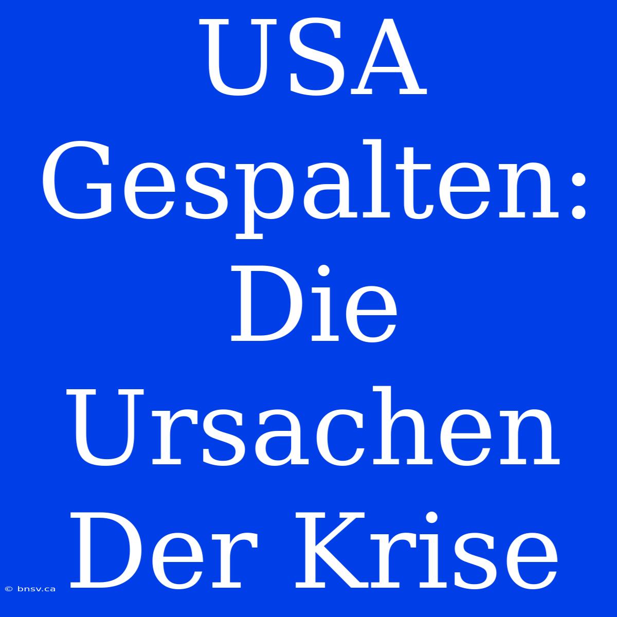 USA Gespalten: Die Ursachen Der Krise