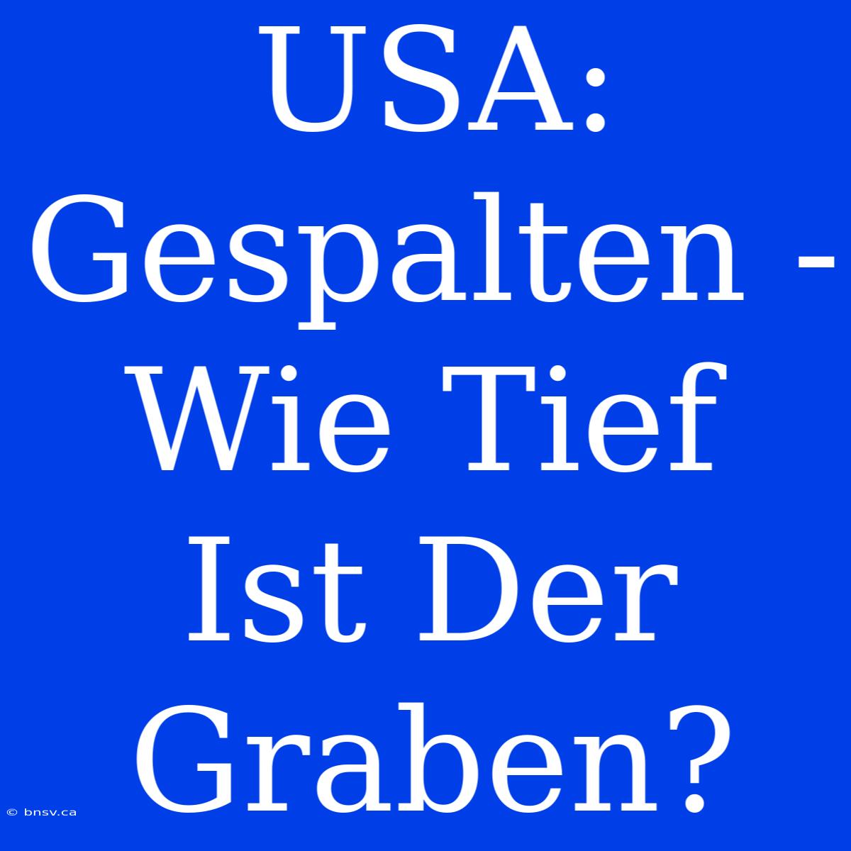 USA:  Gespalten - Wie Tief Ist Der Graben?