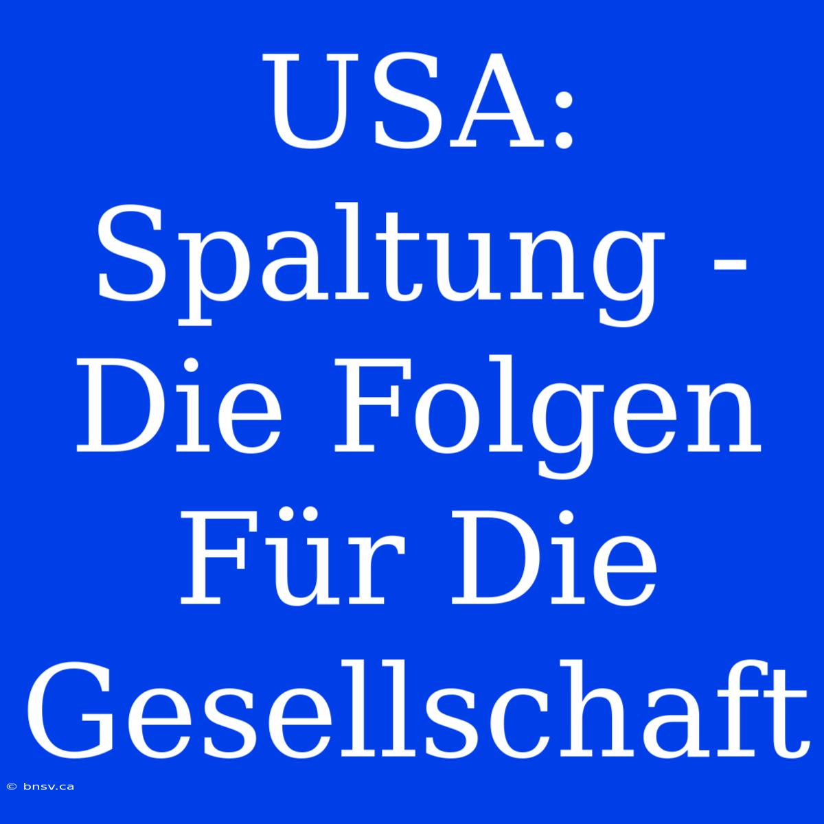 USA:  Spaltung - Die Folgen Für Die Gesellschaft