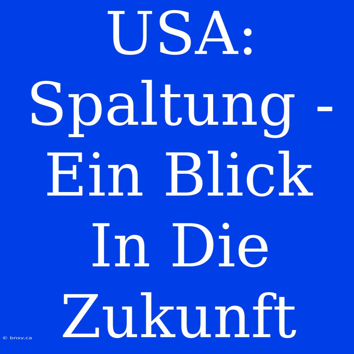 USA:  Spaltung -  Ein Blick In Die Zukunft