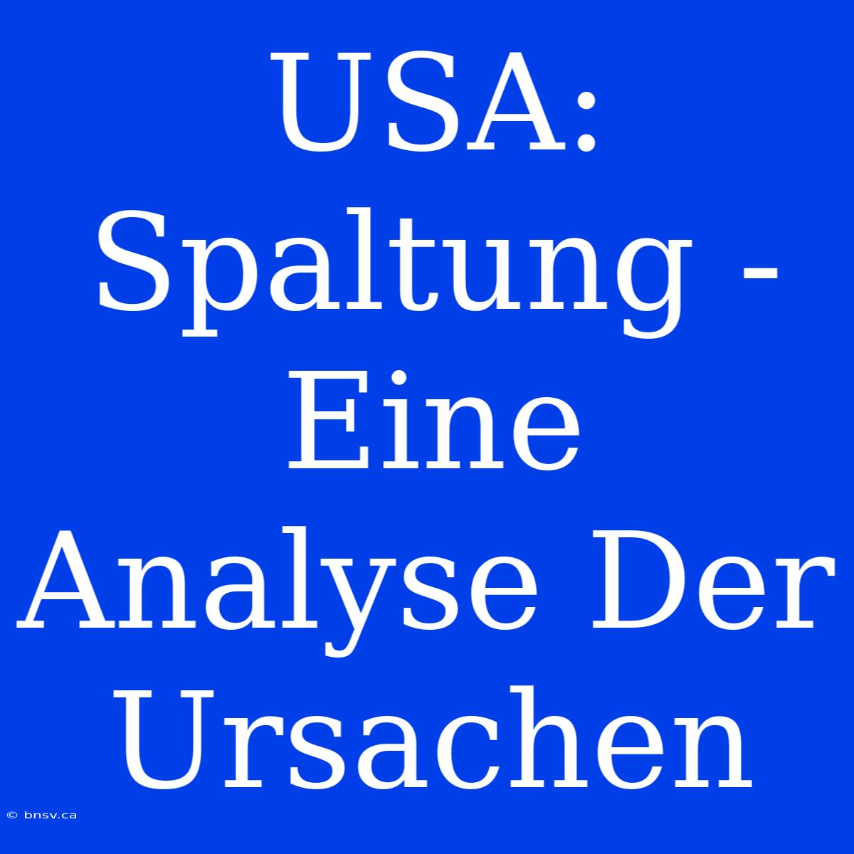 USA:  Spaltung - Eine Analyse Der Ursachen