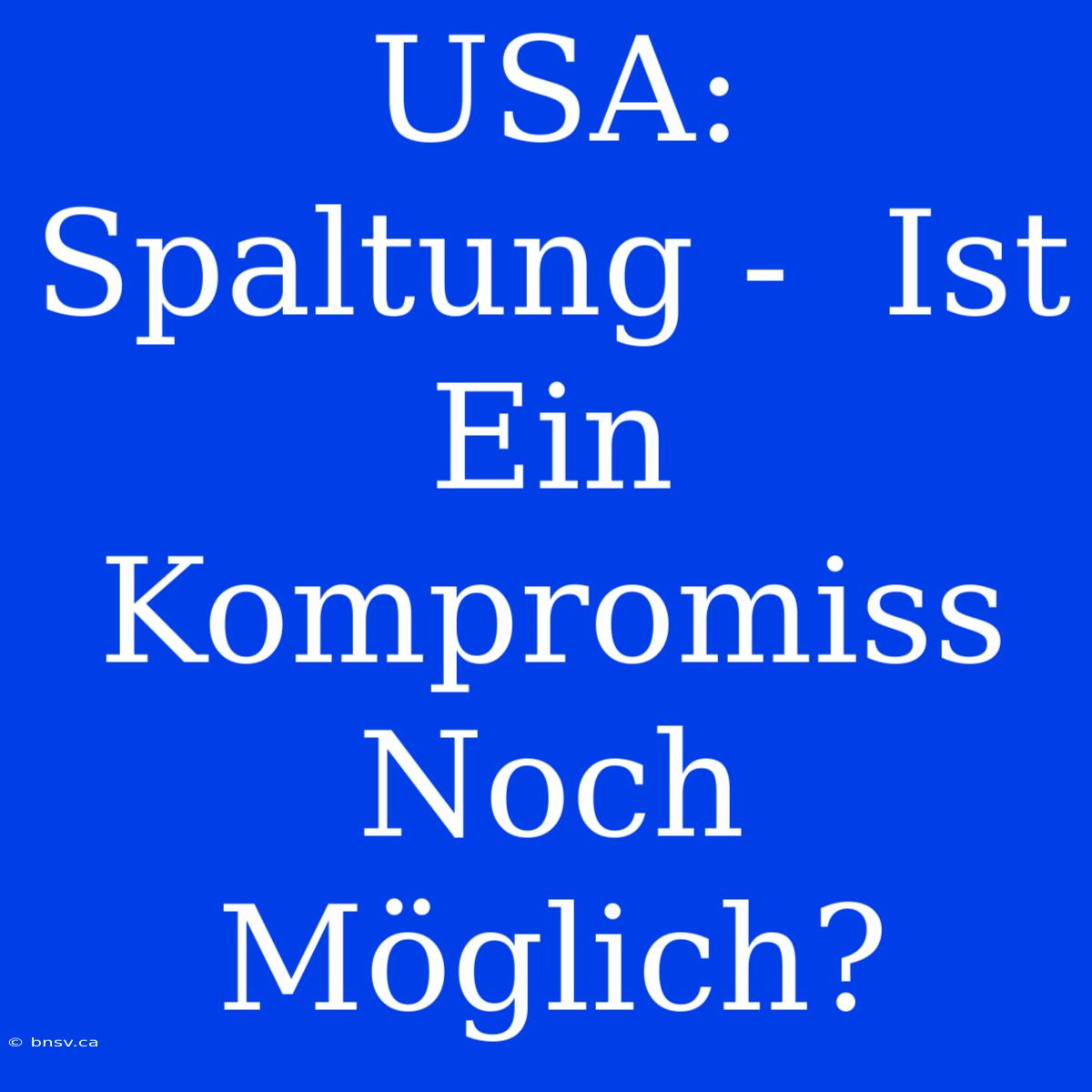 USA: Spaltung -  Ist Ein Kompromiss Noch Möglich?