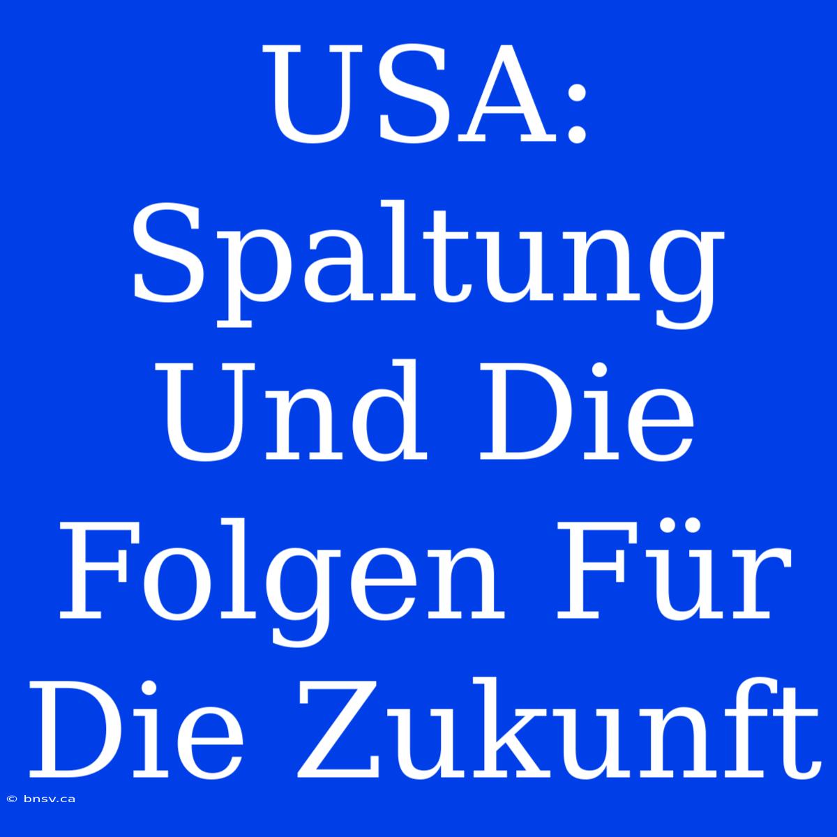 USA:  Spaltung Und Die Folgen Für Die Zukunft