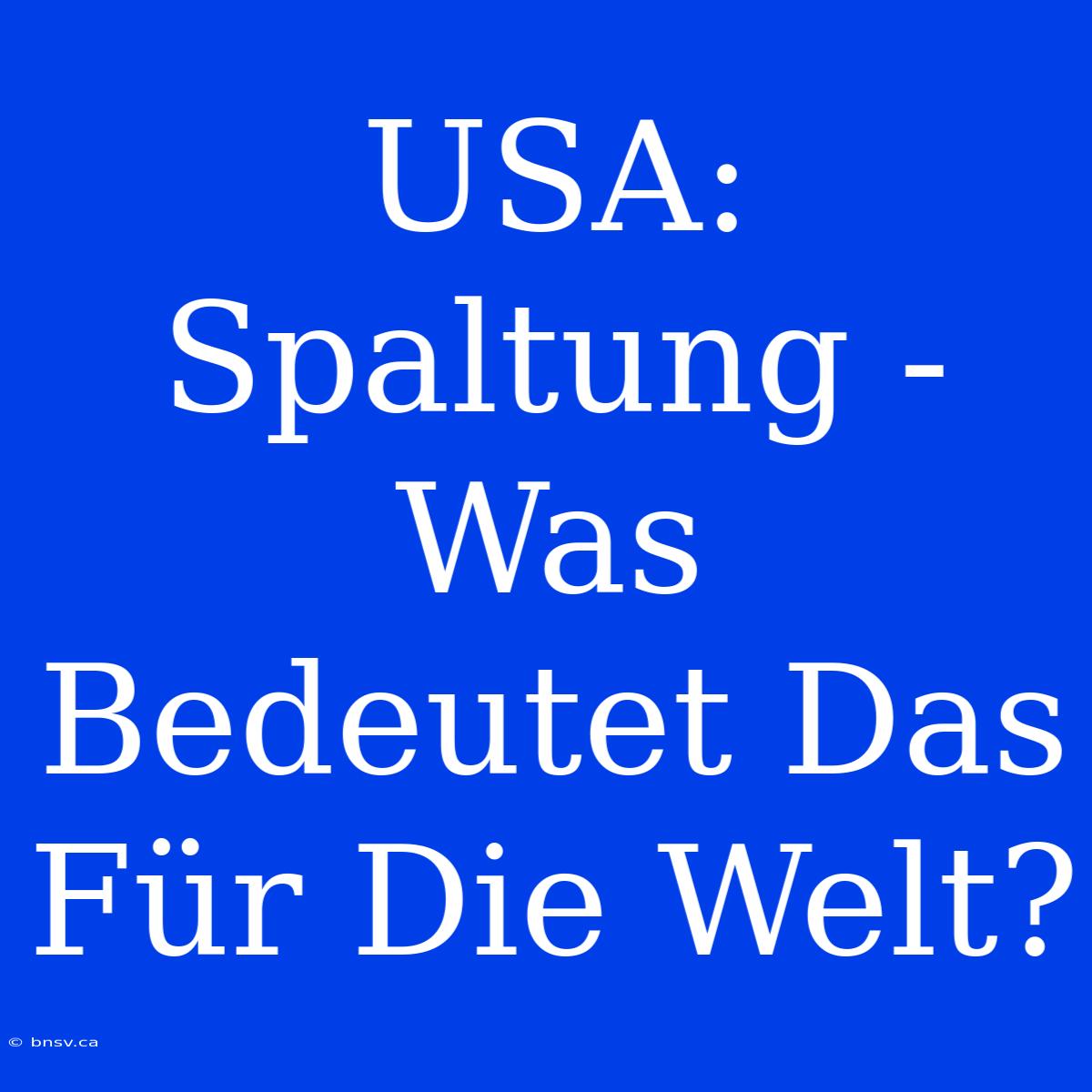 USA:  Spaltung - Was Bedeutet Das Für Die Welt?