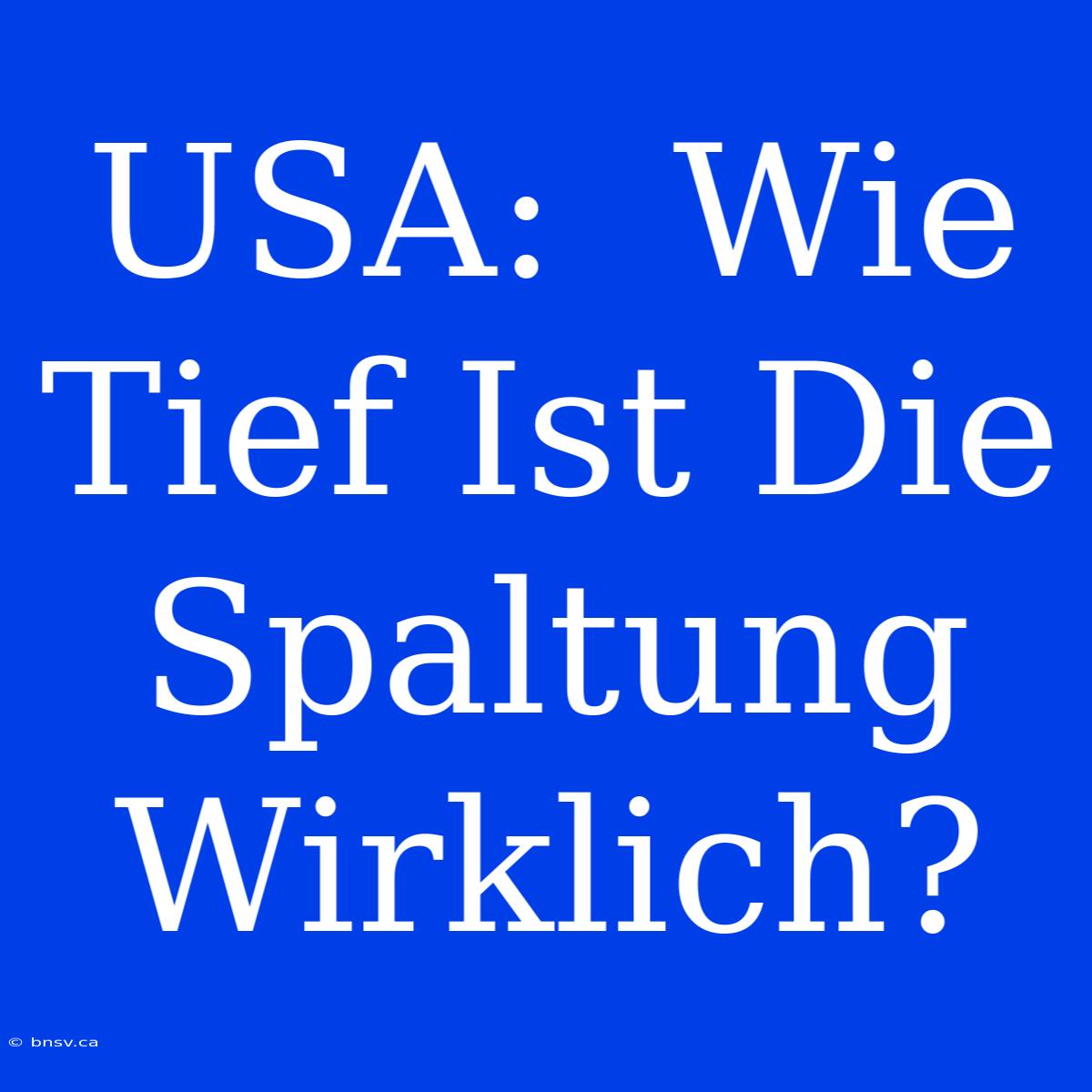 USA:  Wie Tief Ist Die Spaltung Wirklich?