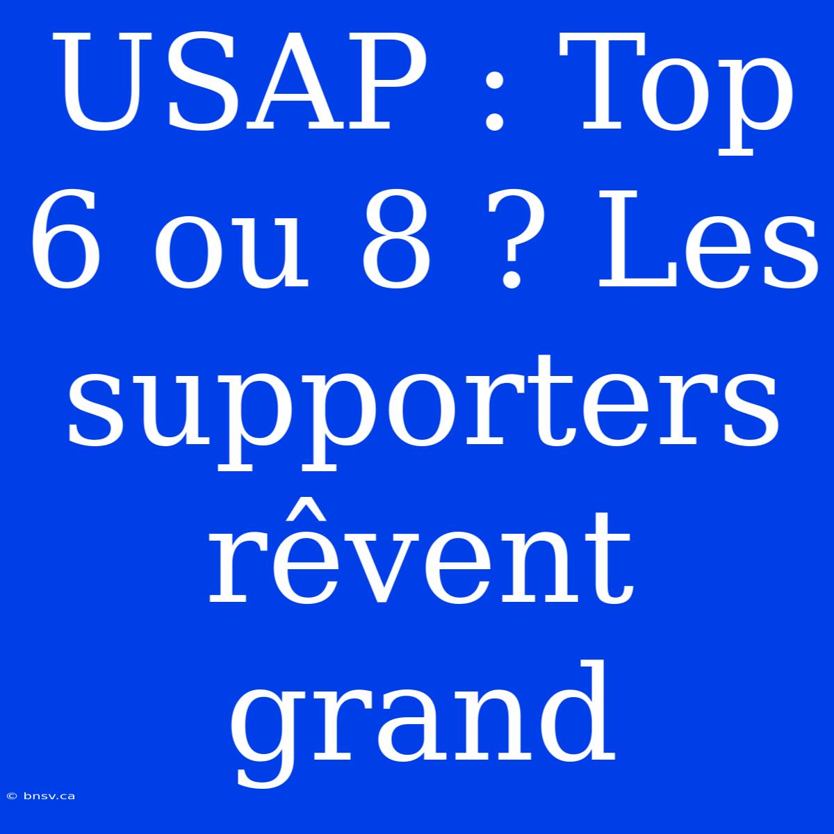 USAP : Top 6 Ou 8 ? Les Supporters Rêvent Grand