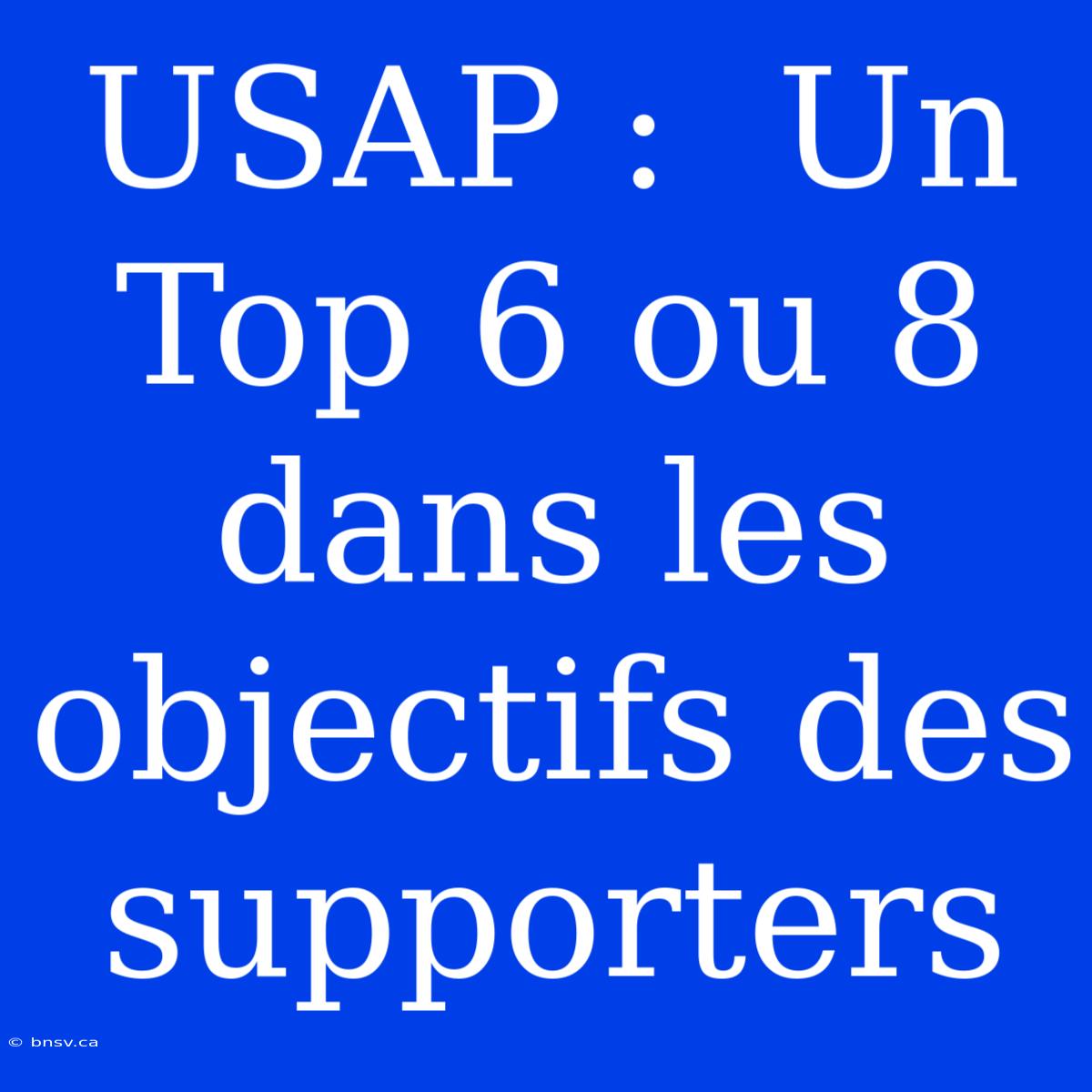 USAP :  Un Top 6 Ou 8 Dans Les Objectifs Des Supporters