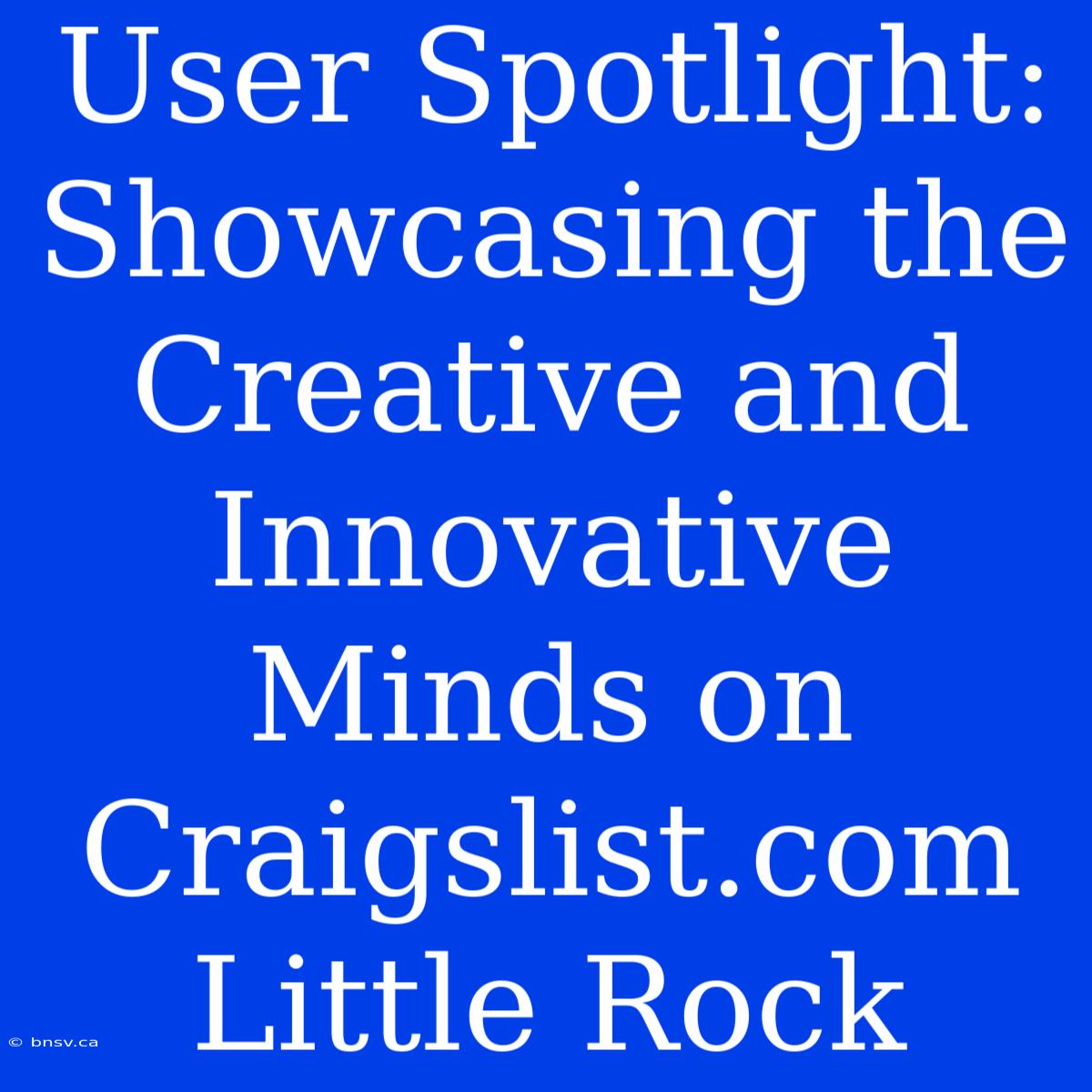 User Spotlight: Showcasing The Creative And Innovative Minds On Craigslist.com Little Rock