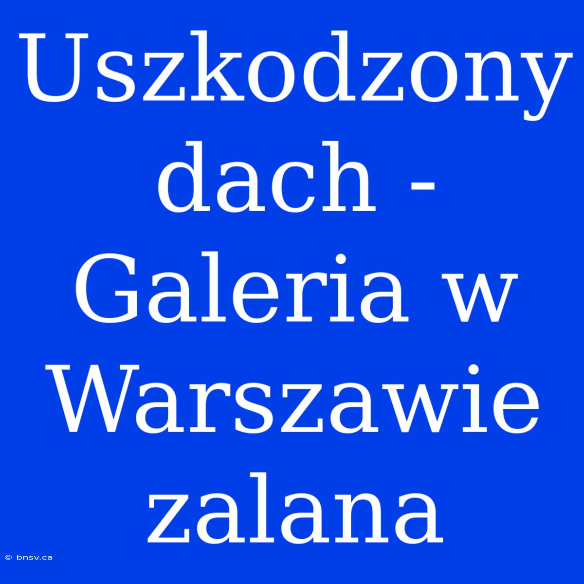 Uszkodzony Dach - Galeria W Warszawie Zalana