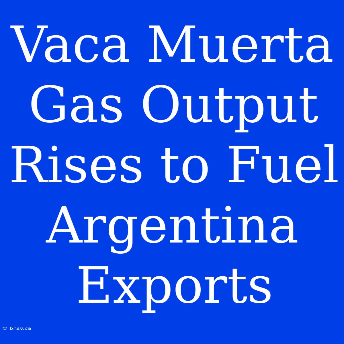 Vaca Muerta Gas Output Rises To Fuel Argentina Exports