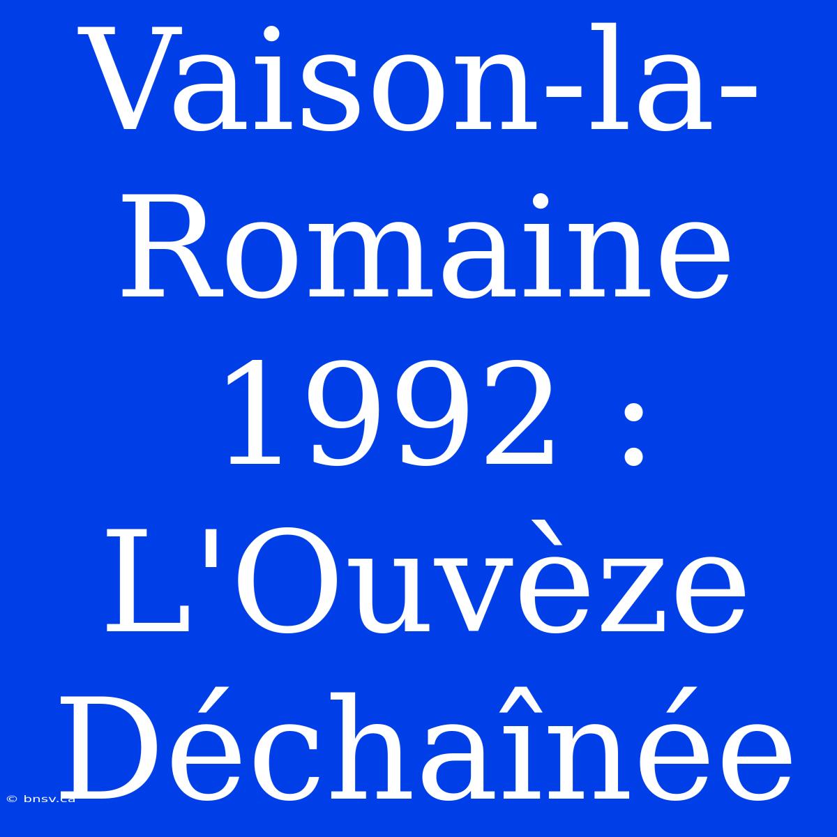 Vaison-la-Romaine 1992 : L'Ouvèze Déchaînée