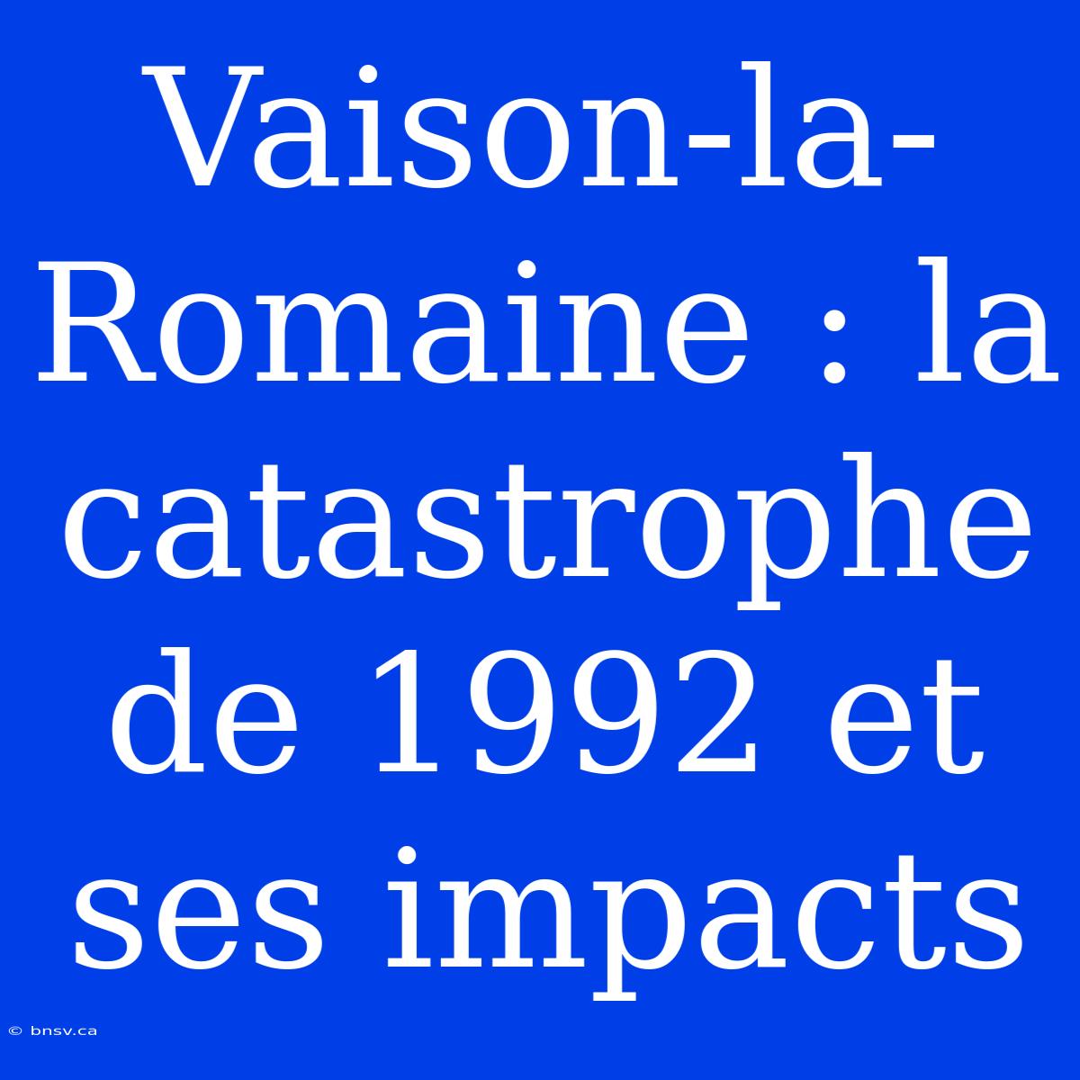 Vaison-la-Romaine : La Catastrophe De 1992 Et Ses Impacts