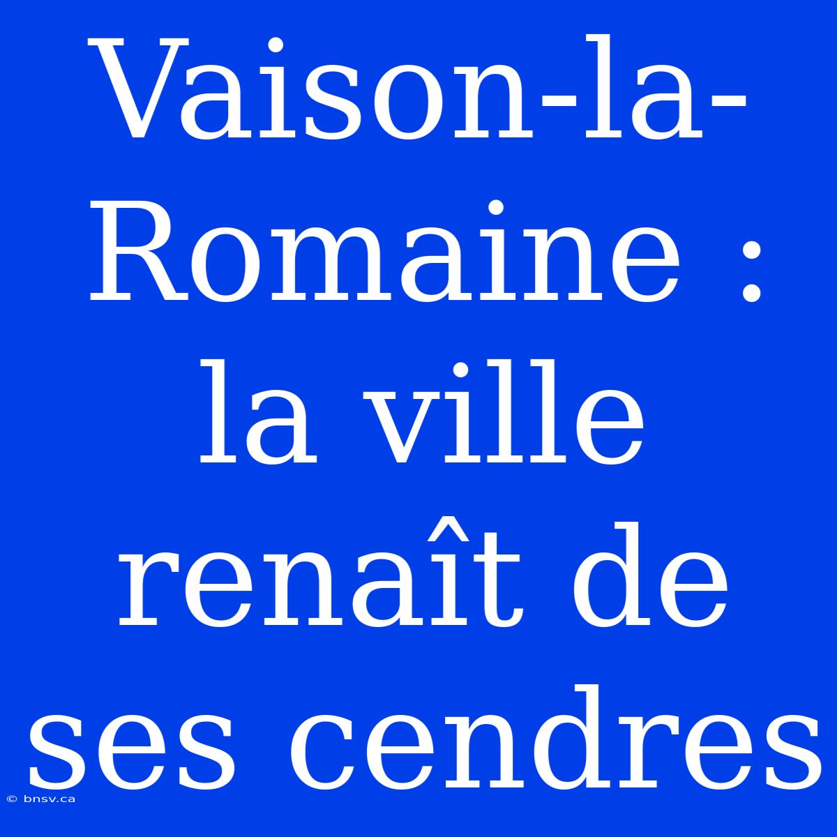 Vaison-la-Romaine : La Ville Renaît De Ses Cendres