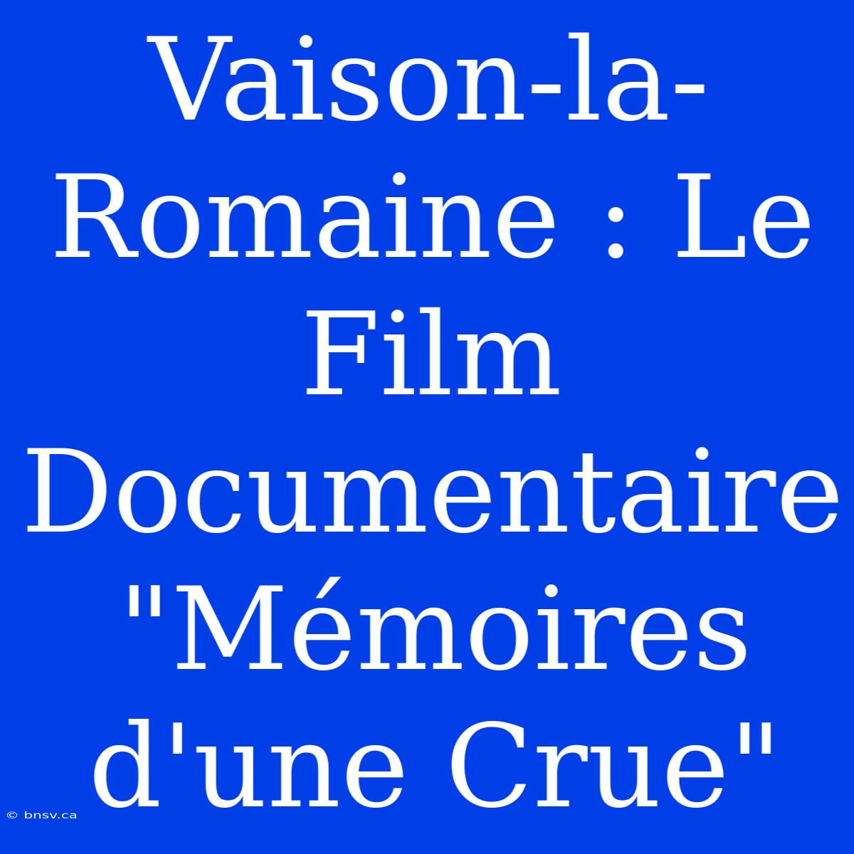 Vaison-la-Romaine : Le Film Documentaire 